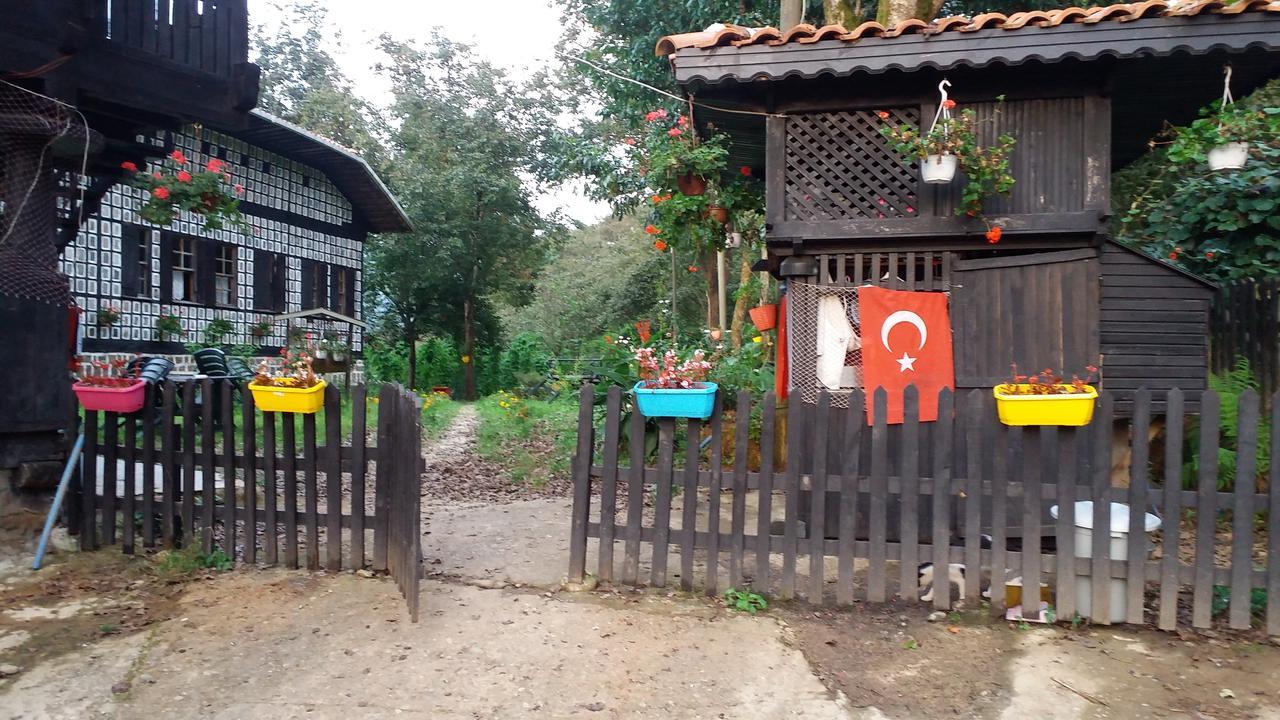 Villa Inceler Konagi à Findikli  Extérieur photo